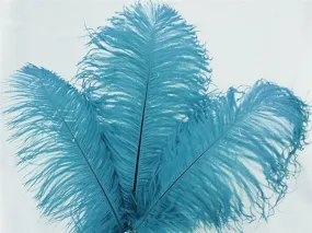 13"-15" Fabulous Natural Ostrich Feathers-12PCS - Turquoise