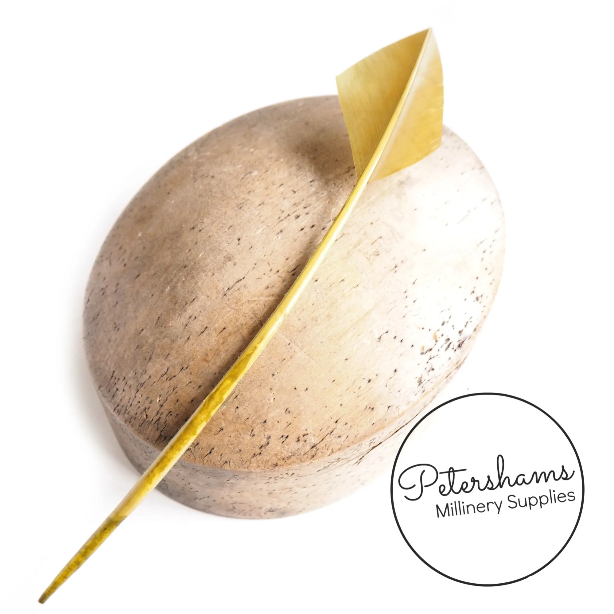 Arrowhead Turkey Quill Feather