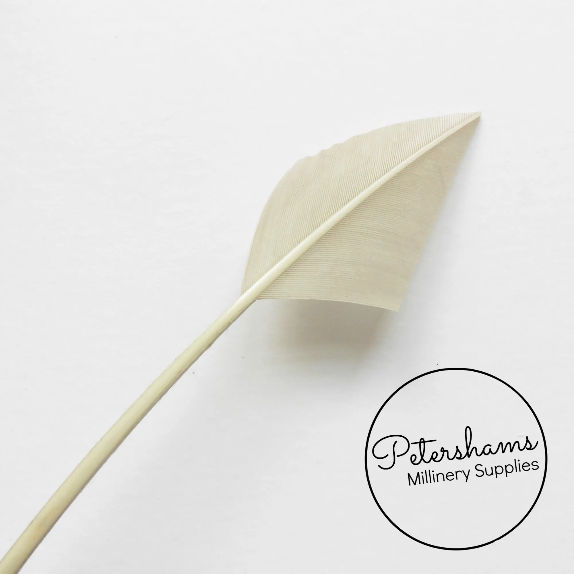 Arrowhead Turkey Quill Feather