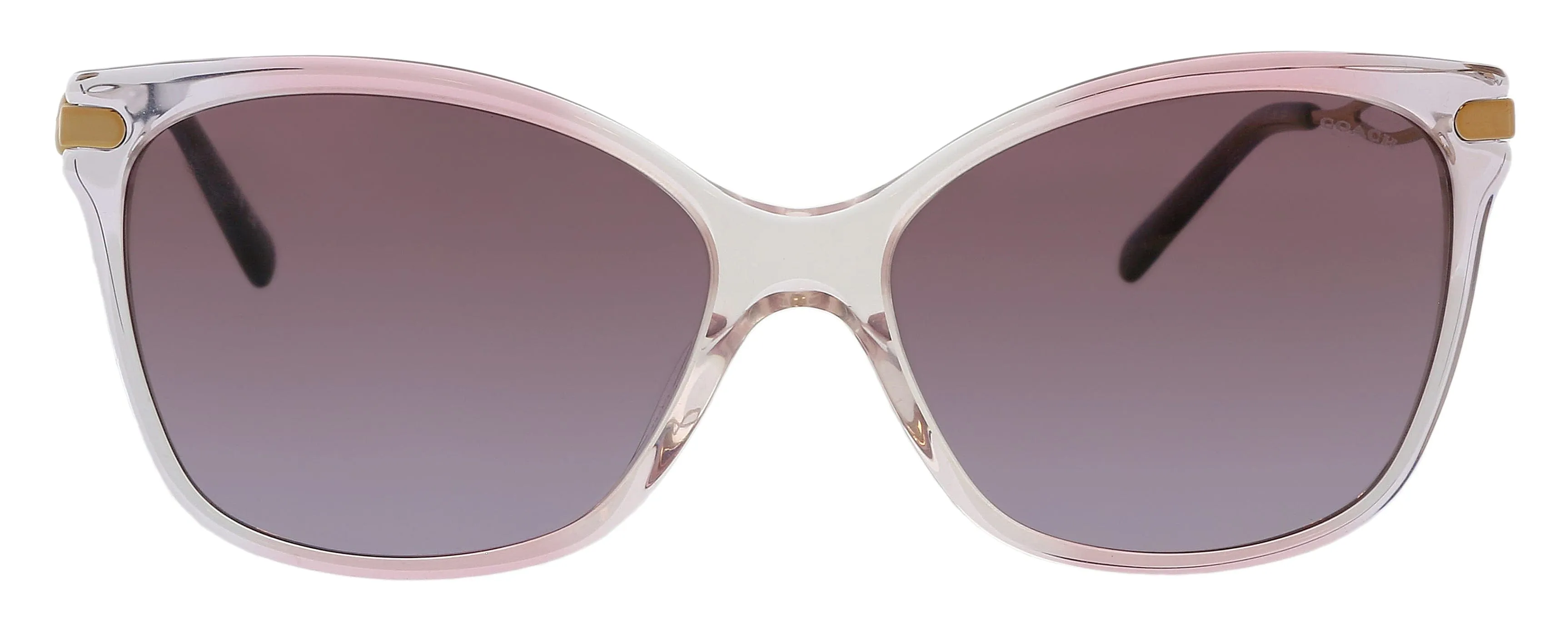 Coach 0HC8316 56418H Full Rim Gradient Transparent Violet Cateye Sunglasses