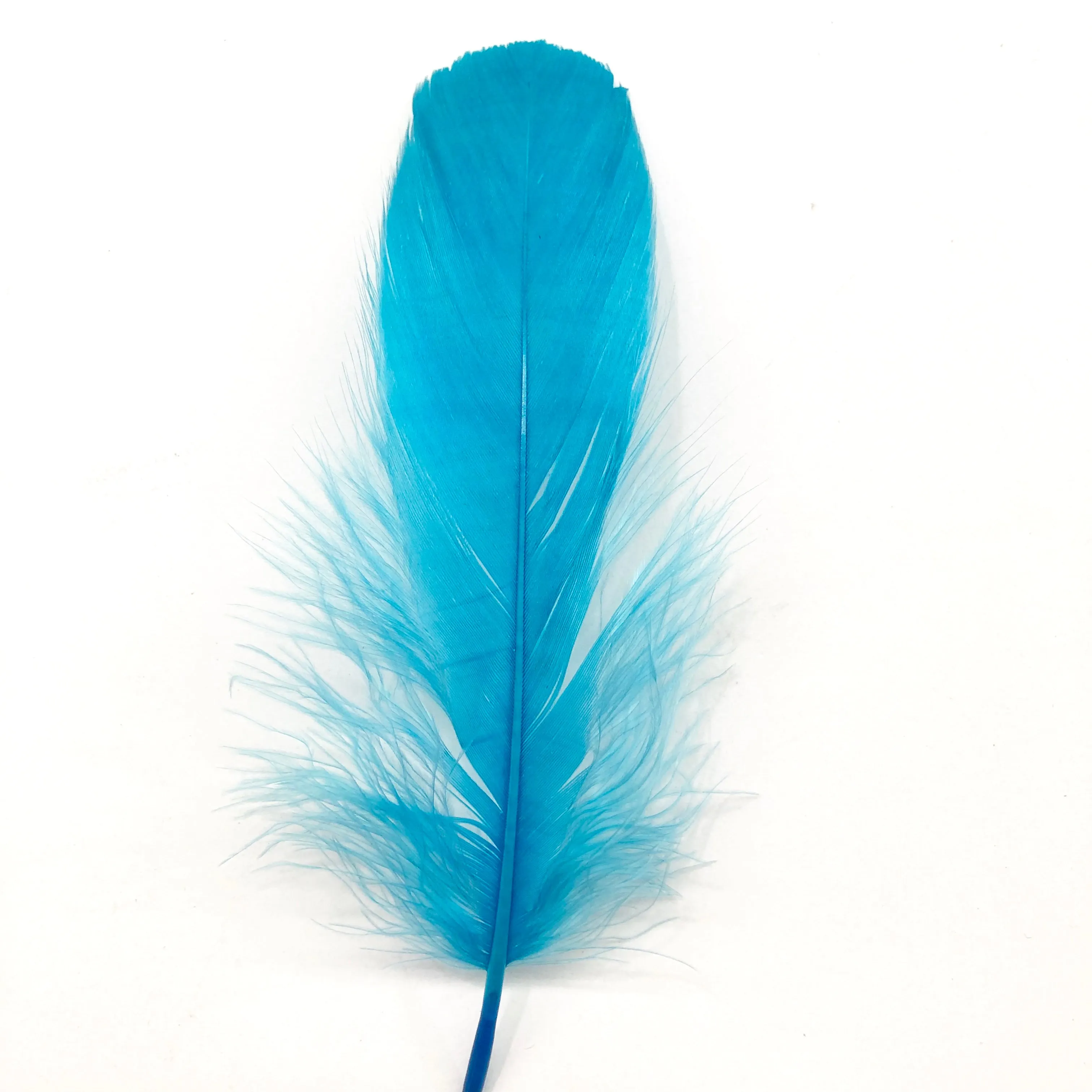 Goose Nagoire Feathers 10 grams - Aqua