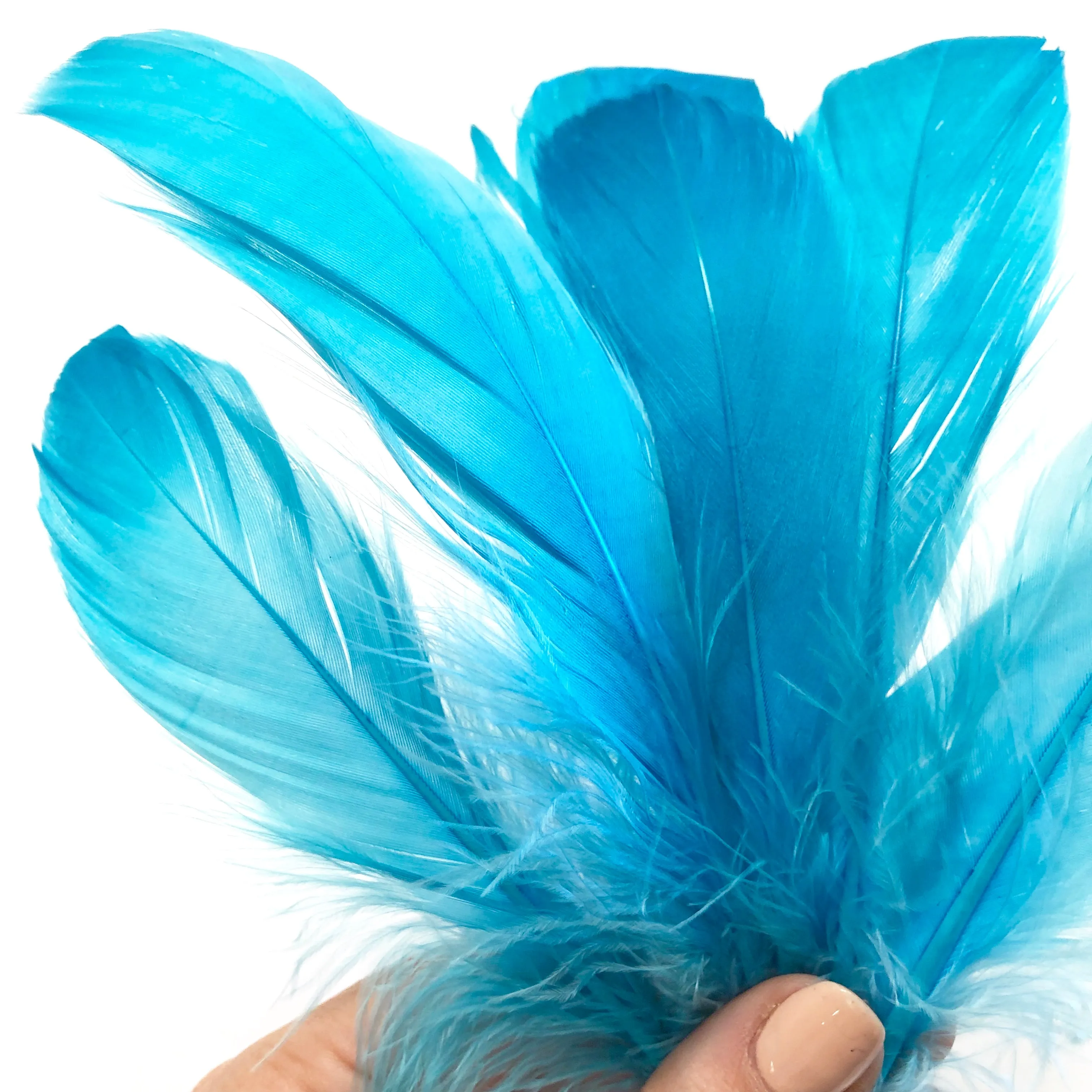 Goose Nagoire Feathers 10 grams - Aqua