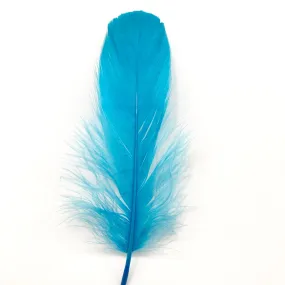 Goose Nagoire Feathers 10 grams - Aqua