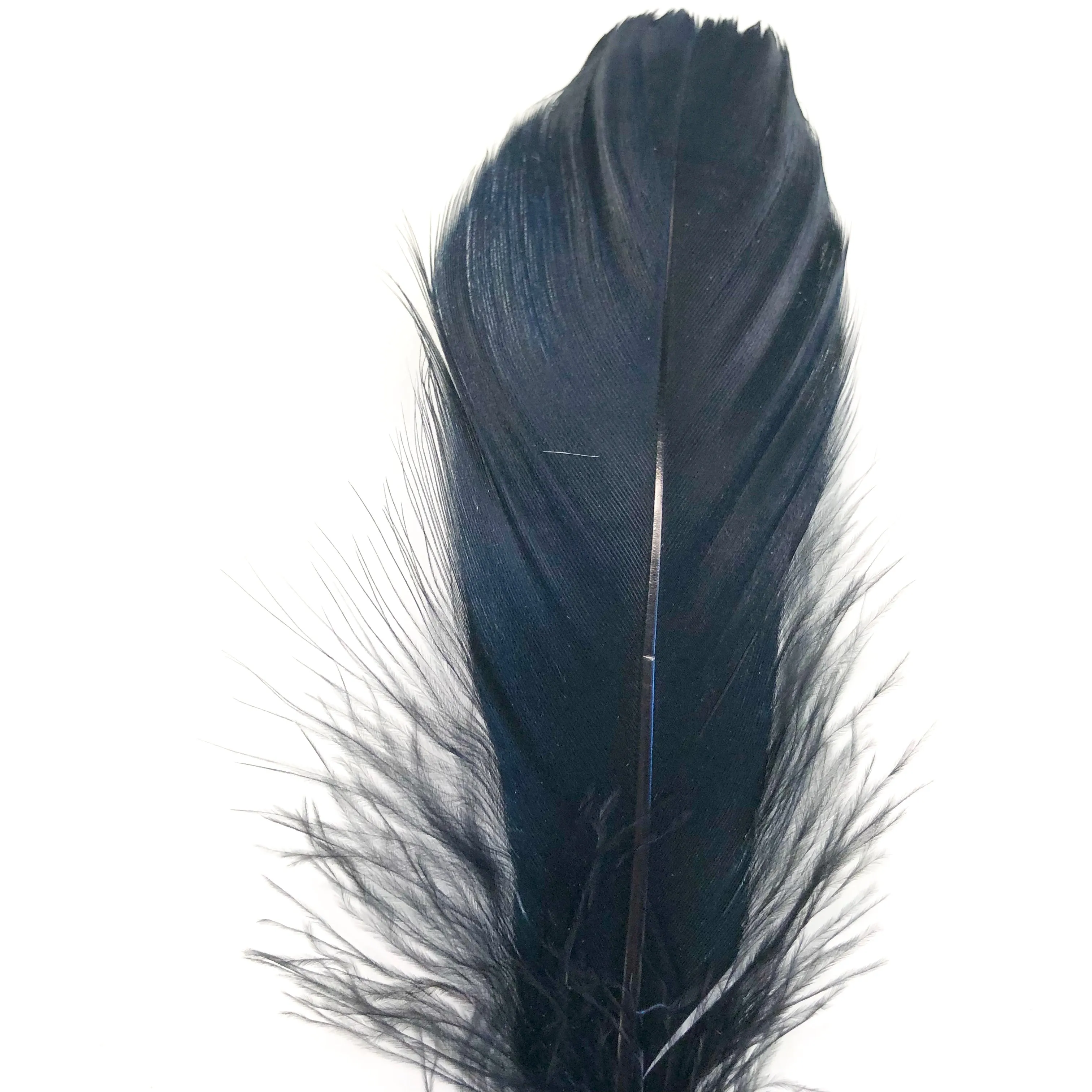 Goose Nagoire Feathers 10 grams - Black