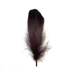 Goose Nagoire Feathers 10 grams - Chocolate Brown