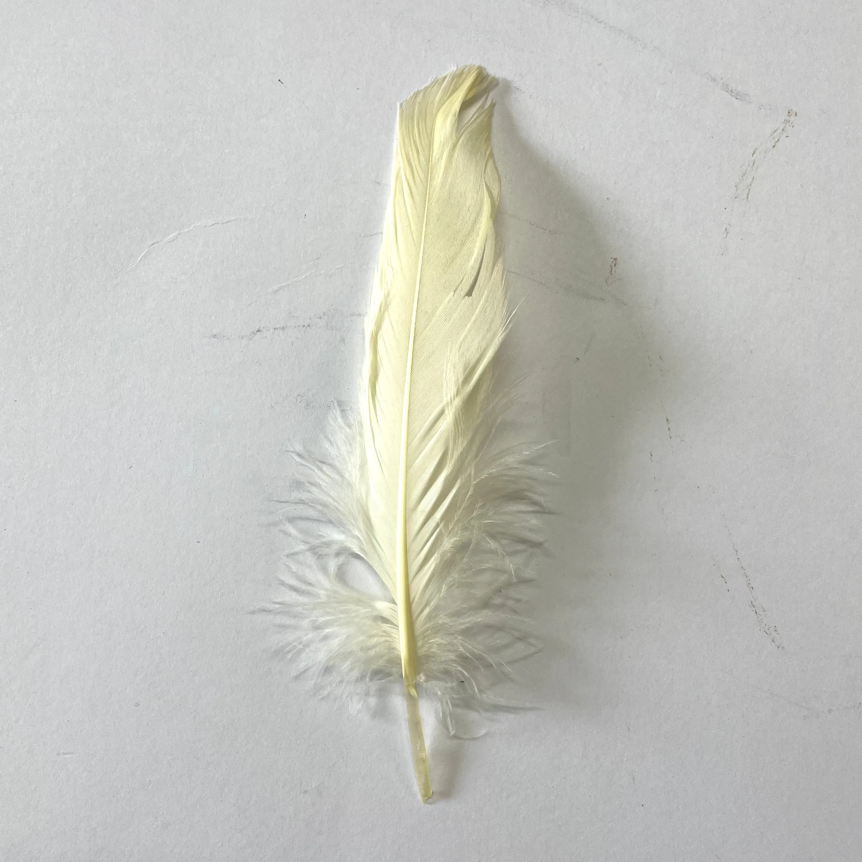 Goose Nagoire Feathers 10 grams - Cream ((SECONDS))