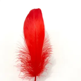 Goose Nagoire Feathers 10 grams - Red