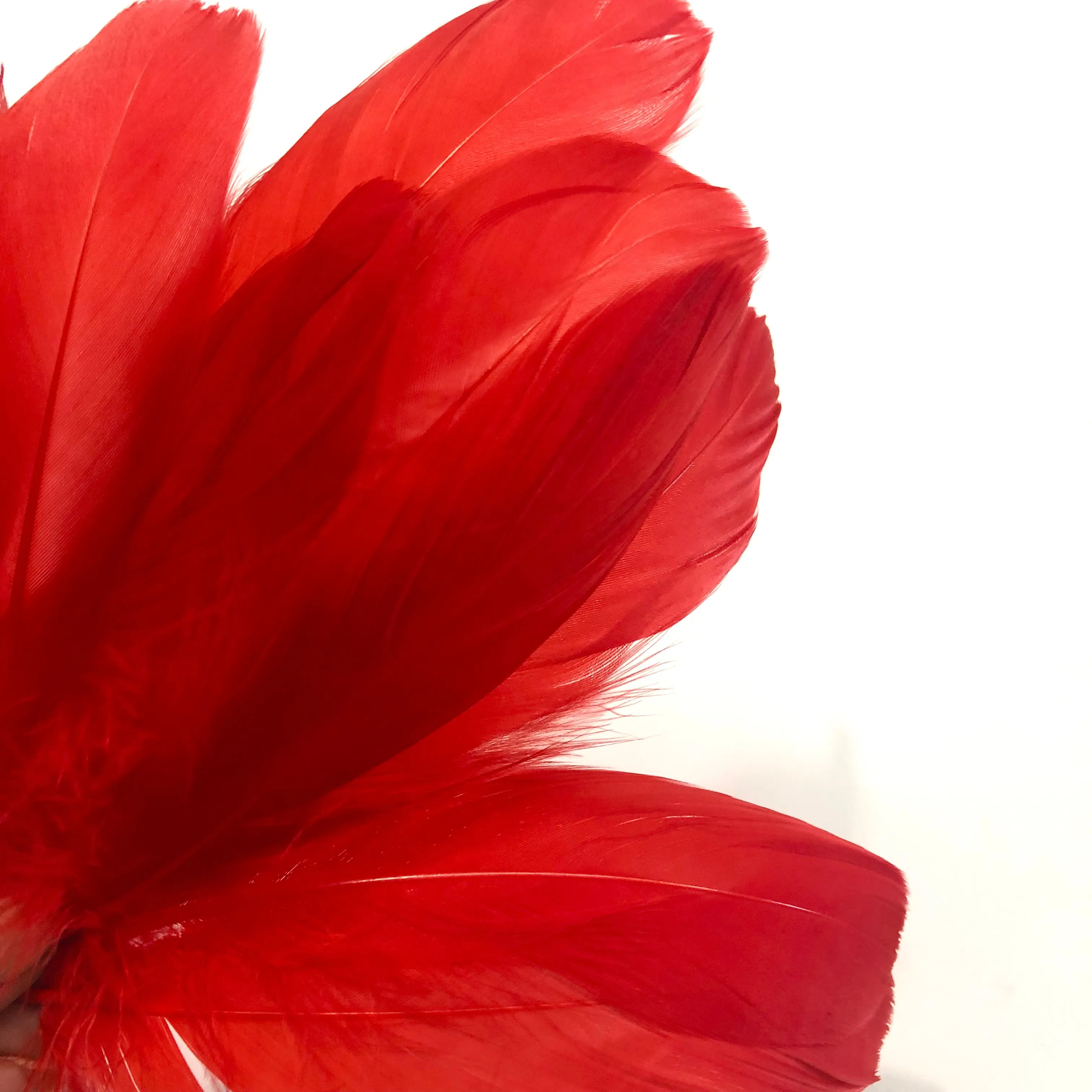 Goose Nagoire Feathers 10 grams - Red