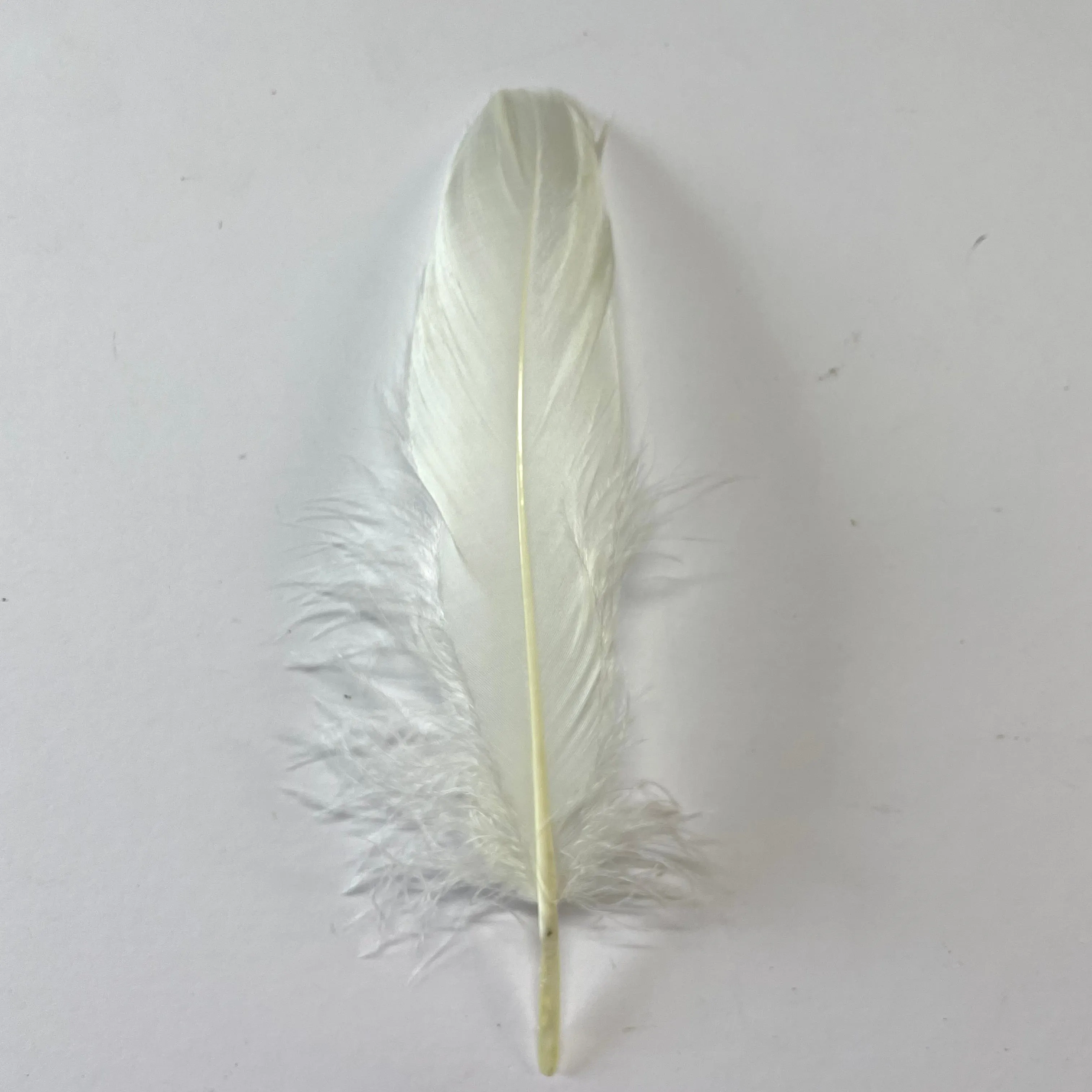 Goose Nagoire Feathers 10 grams - Sorbet