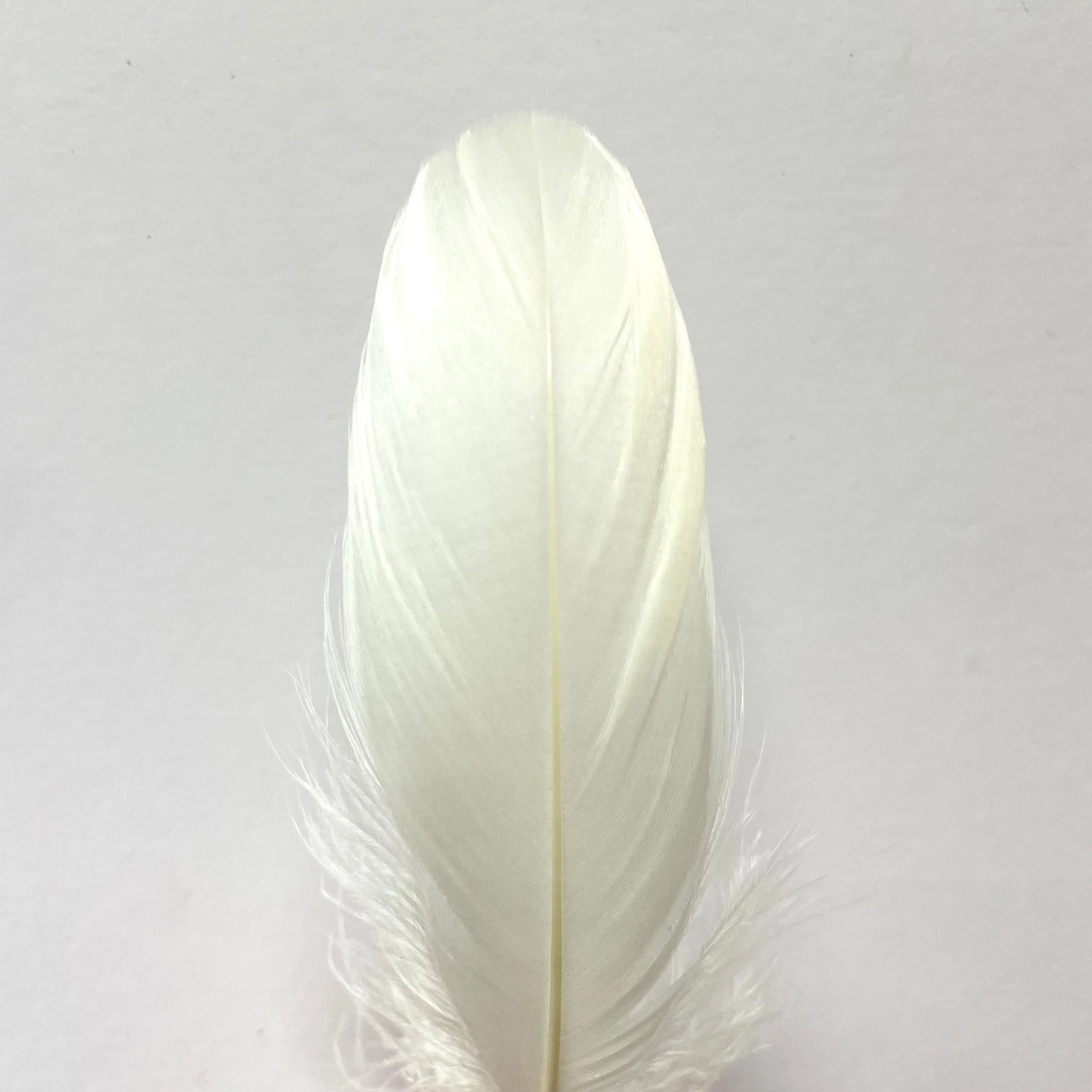 Goose Nagoire Feathers 10 grams - Sorbet