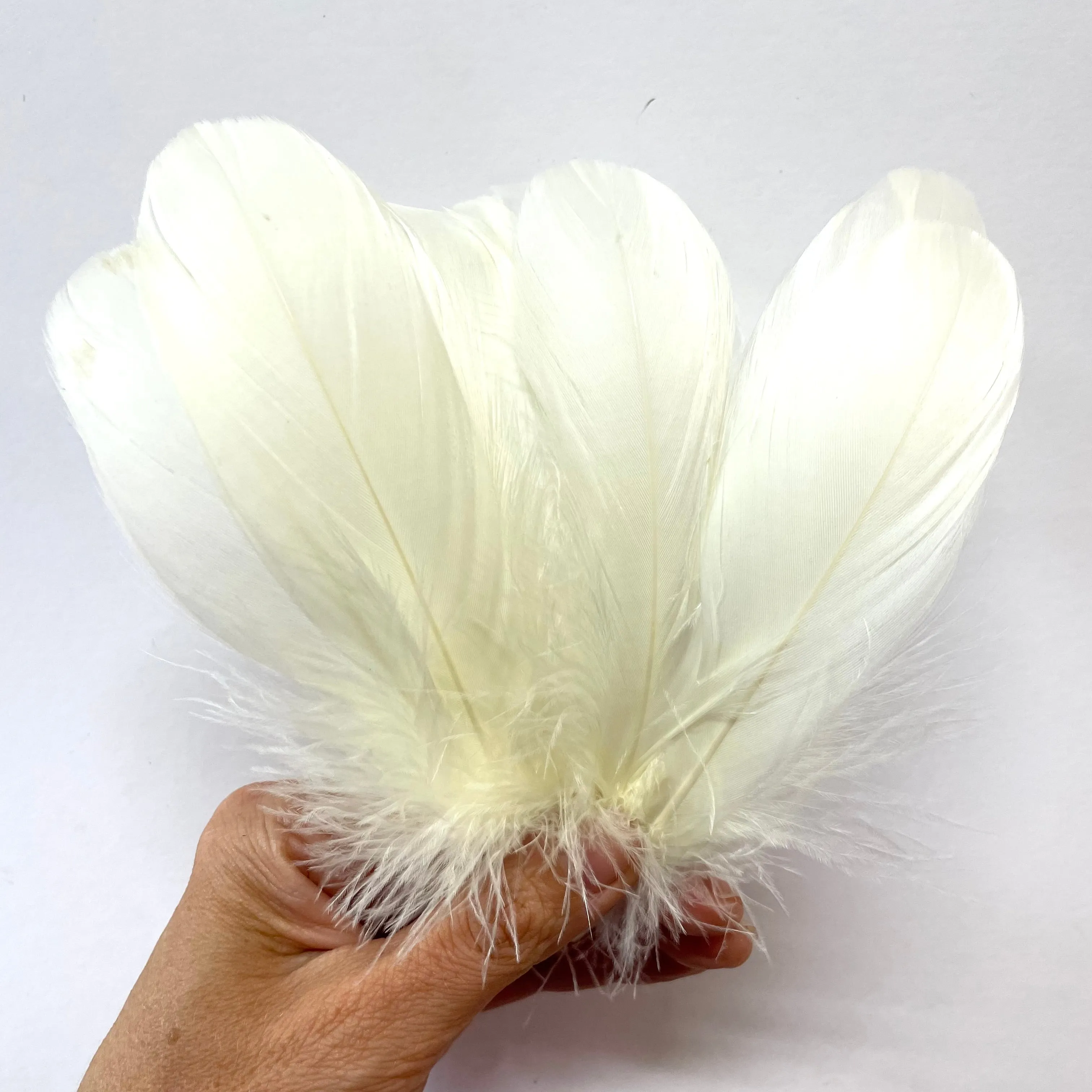 Goose Nagoire Feathers 10 grams - Sorbet