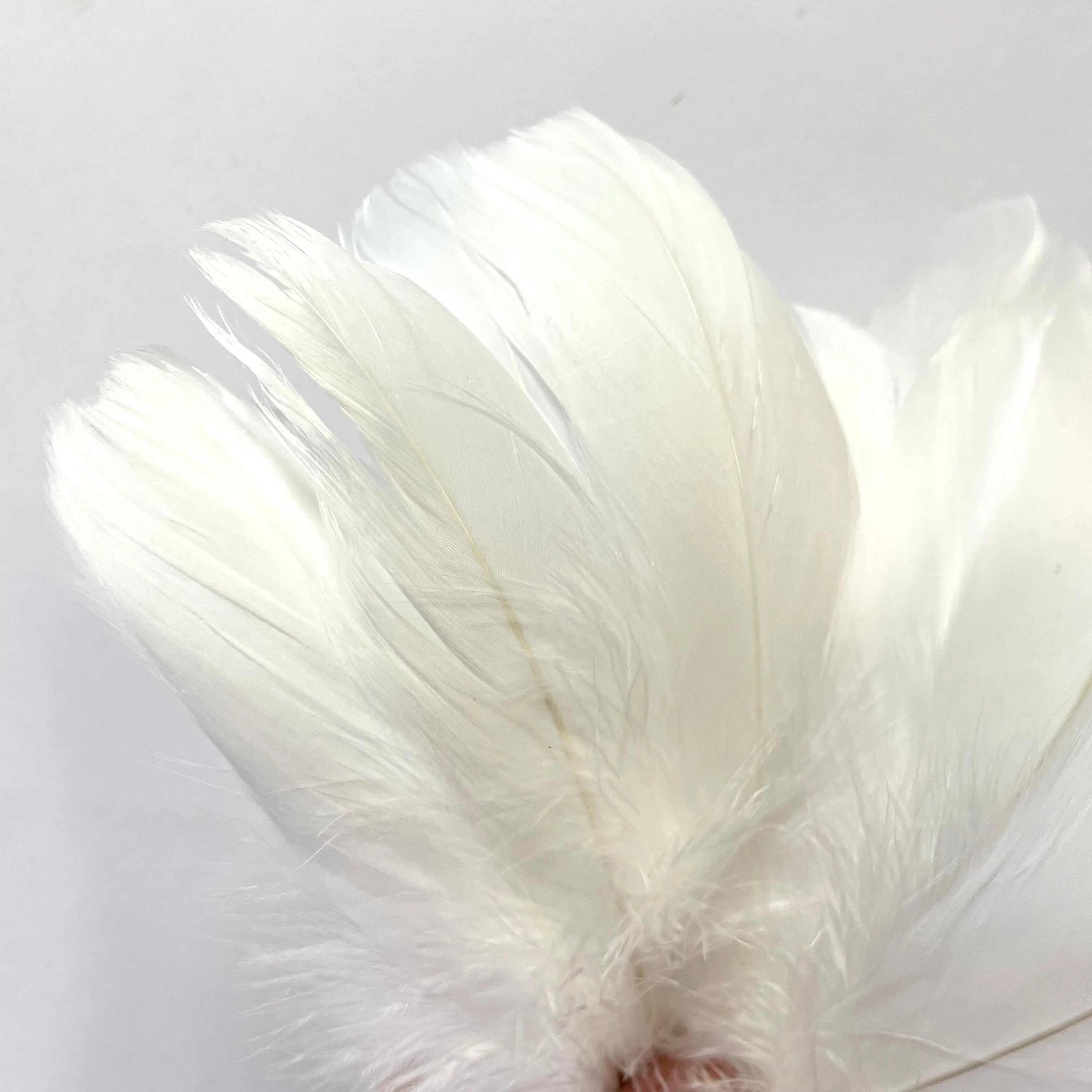 Goose Nagoire Feathers 10 grams - White