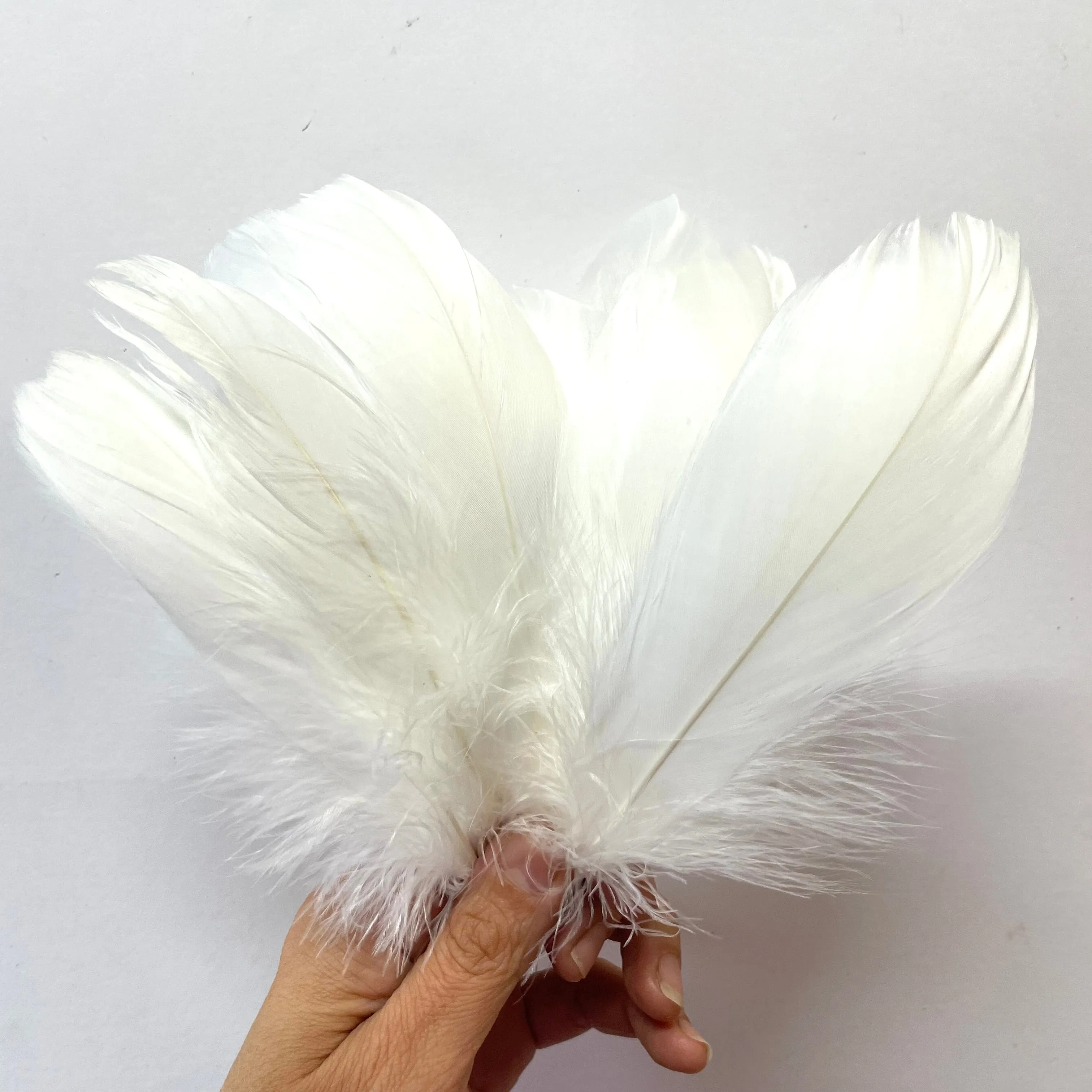 Goose Nagoire Feathers 10 grams - White