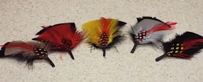 Hat Feathers 1