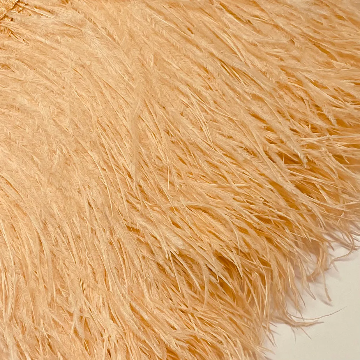 Ostrich Feathers Strung per 10cm - Apricot