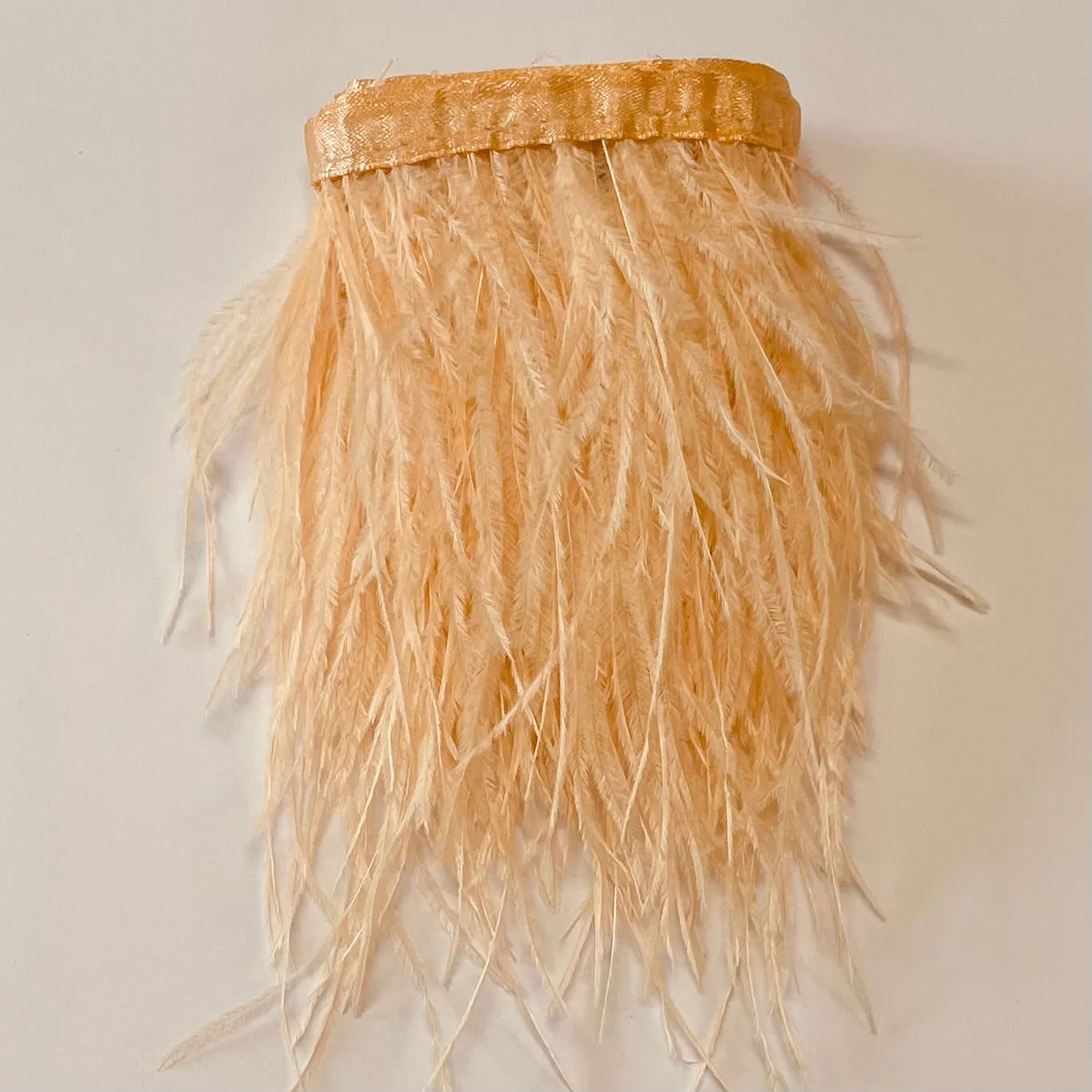 Ostrich Feathers Strung per 10cm - Apricot