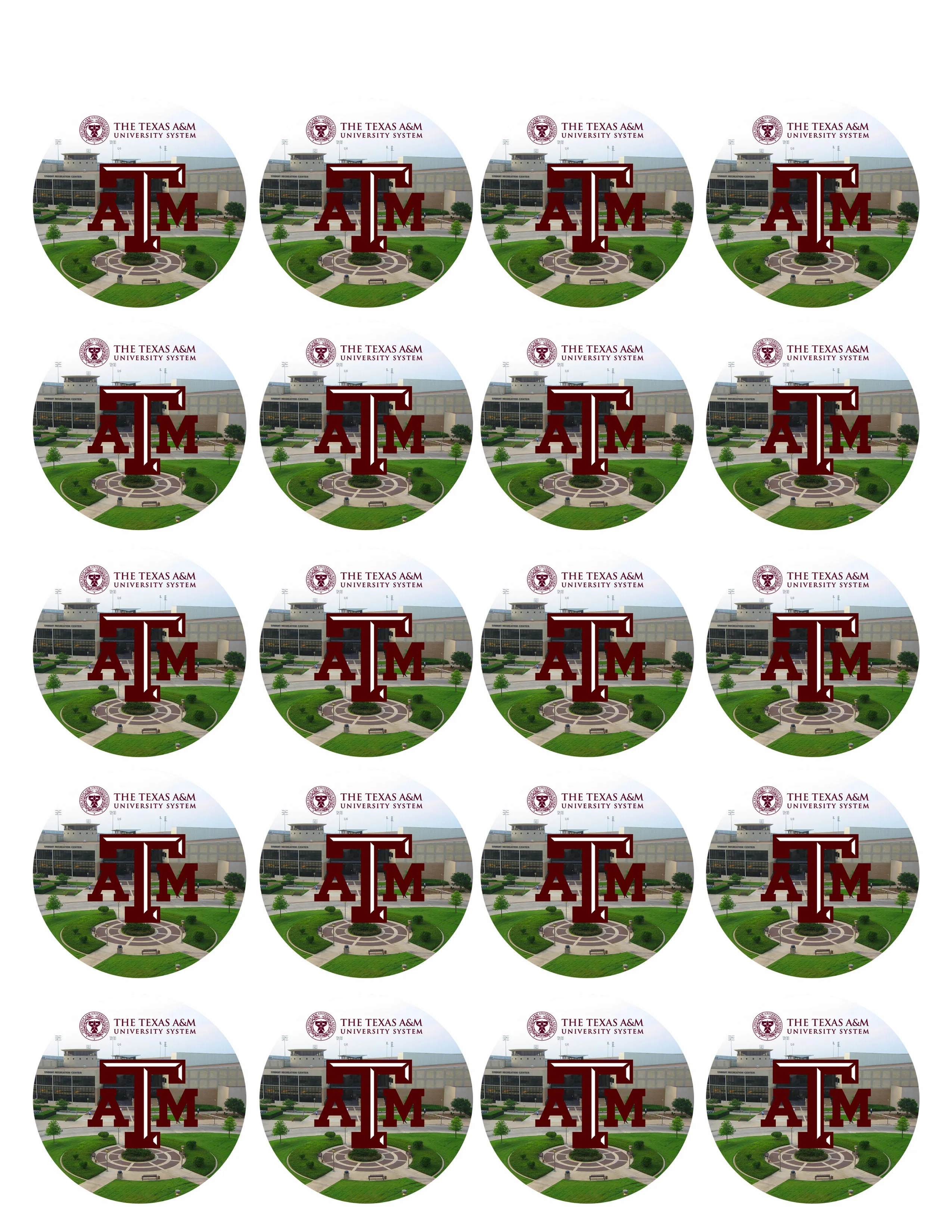 Texas A&M University (Nr2) - Edible Cake Topper OR Cupcake Topper, Decor