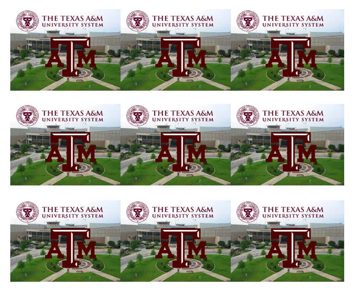 Texas A&M University (Nr2) - Edible Cake Topper OR Cupcake Topper, Decor