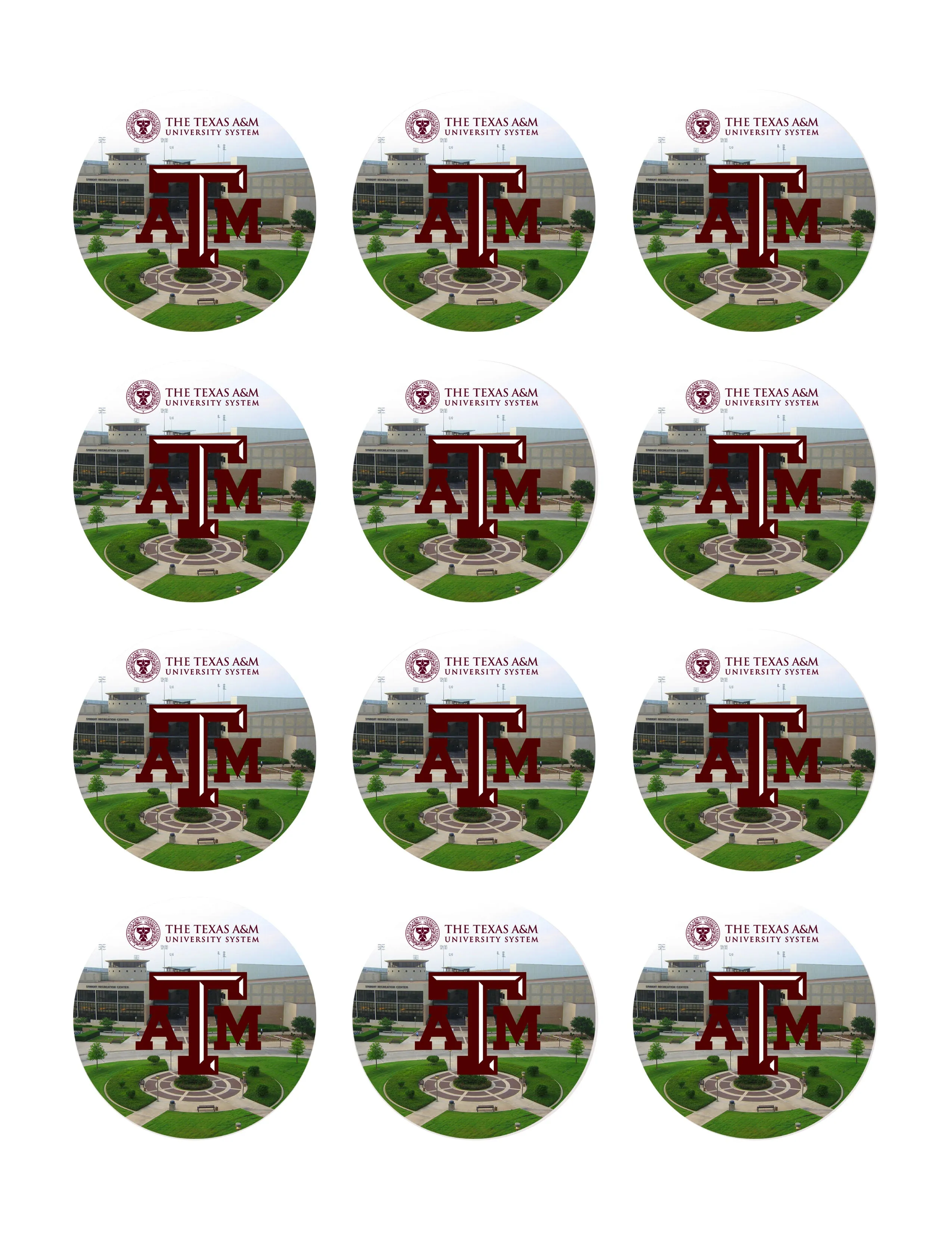 Texas A&M University (Nr2) - Edible Cake Topper OR Cupcake Topper, Decor